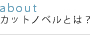 カットノベルとは?
